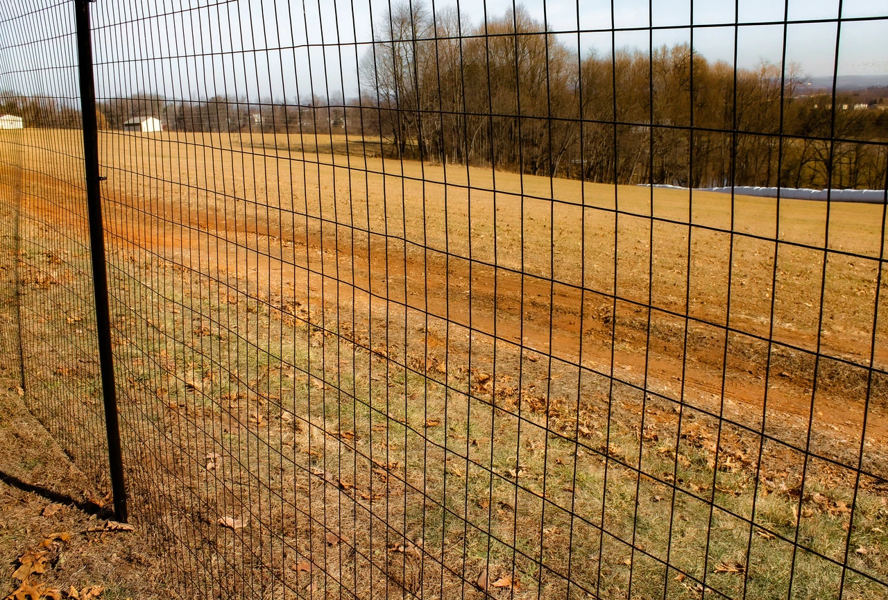 Reliable Steel Wire Mesh Fencing Solutions