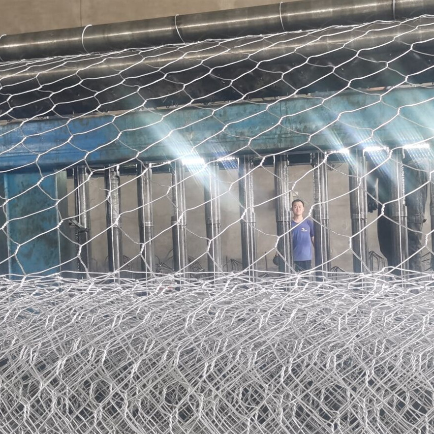Strong Double Twisted Hexagonal Gabion Mesh Roll: Erosion Control Strong Double Twisted Hexagonal Gabion Mesh Roll: Erosion Control