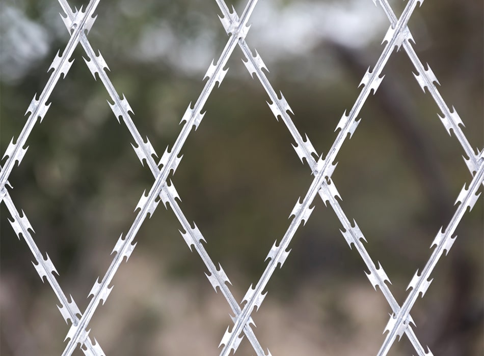 Galvanized/PVC Welded Razor Wire Mesh for Fence: High Security Galvanized/PVC Welded Razor Wire Mesh for Fence: High Security