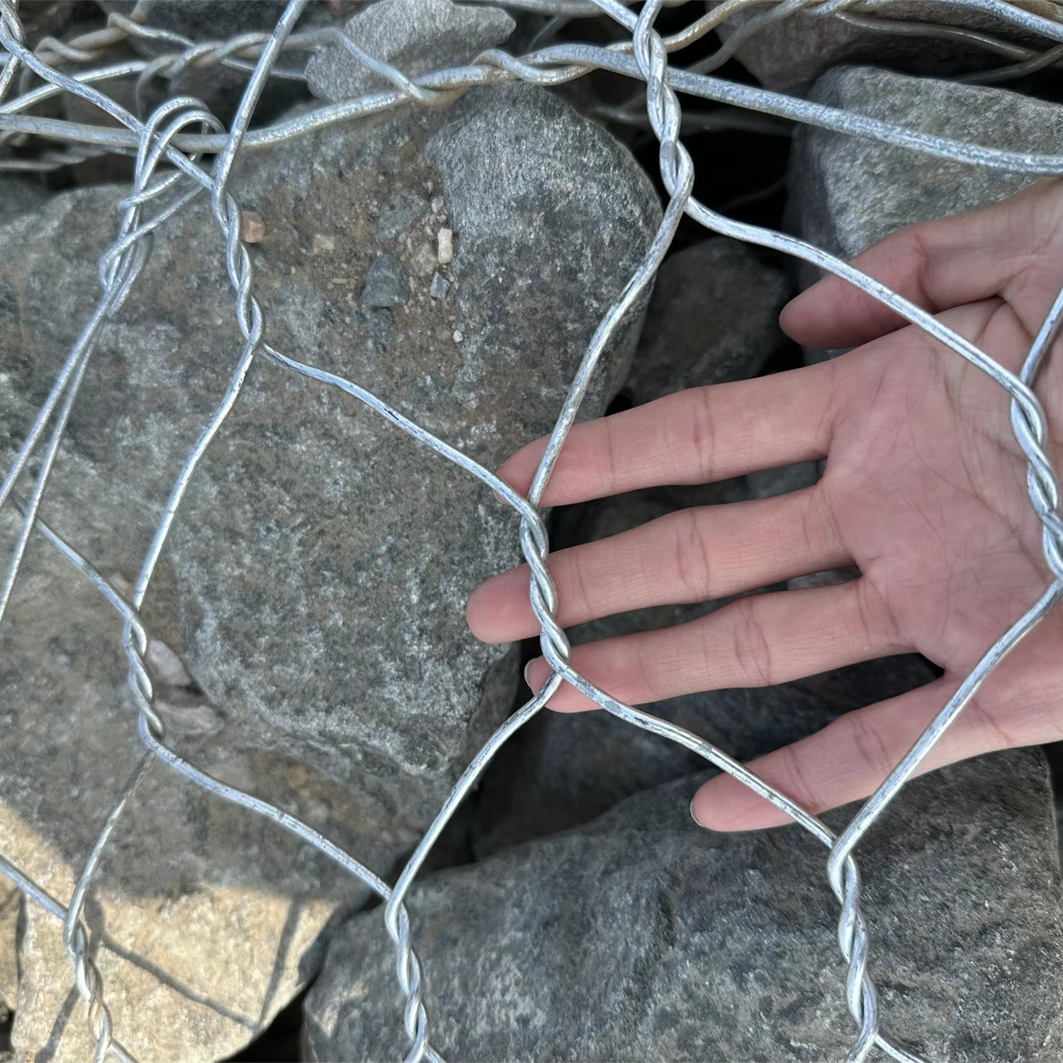 Durable Welded Wire Mesh Panels & Rolls | Strong & Versatile Solutions Durable Welded Wire Mesh Panels & Rolls | Strong & Versatile Solutions