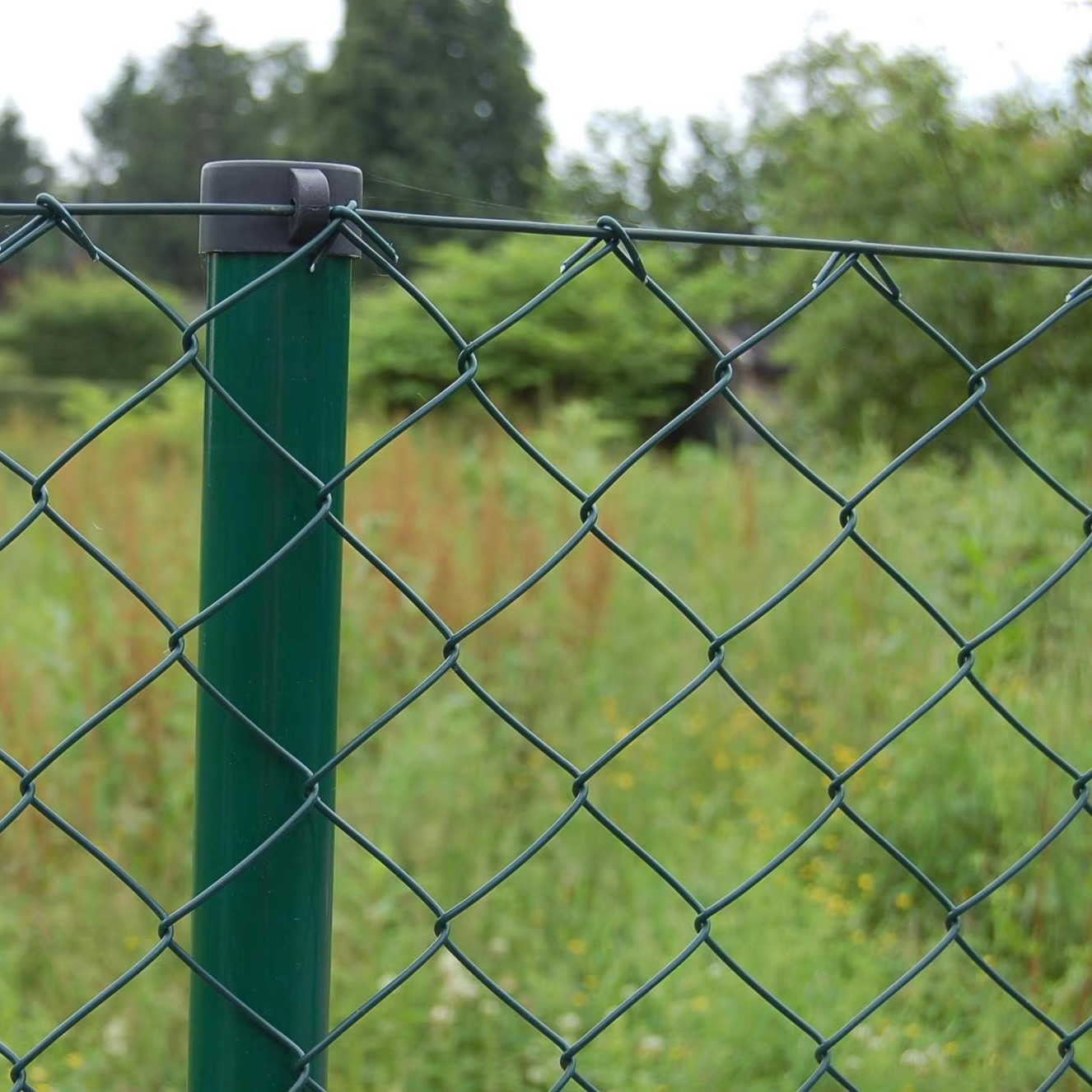 Durable Welded Wire Mesh Panels & Rolls | Strong & Versatile Solutions Durable Welded Wire Mesh Panels & Rolls | Strong & Versatile Solutions