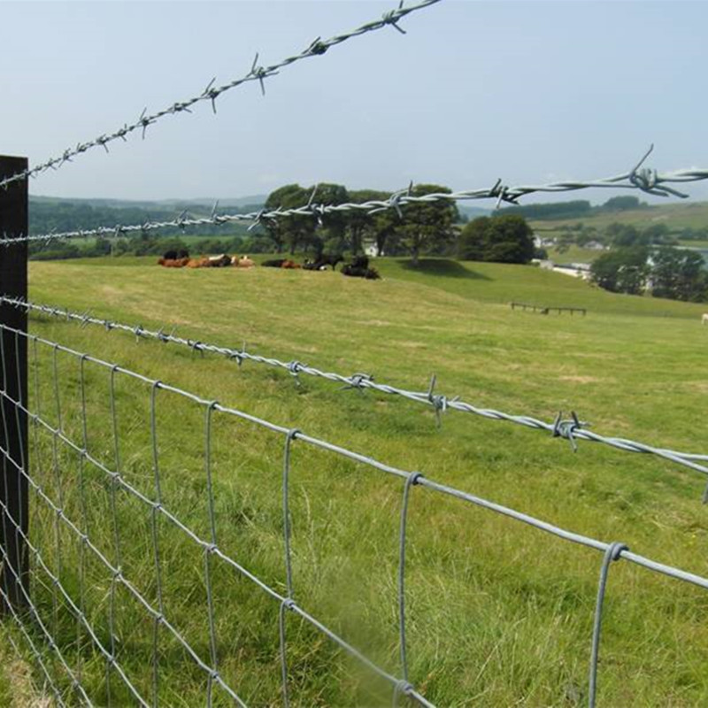 Durable Welded Wire Mesh Panels & Rolls | Strong & Versatile Solutions Durable Welded Wire Mesh Panels & Rolls | Strong & Versatile Solutions