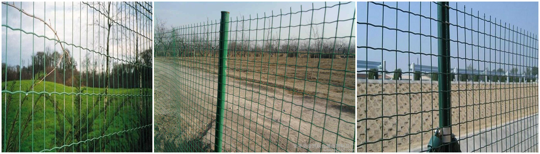 Euro Steel Wire Mesh Fence: Durable &#038; Secure Fencing