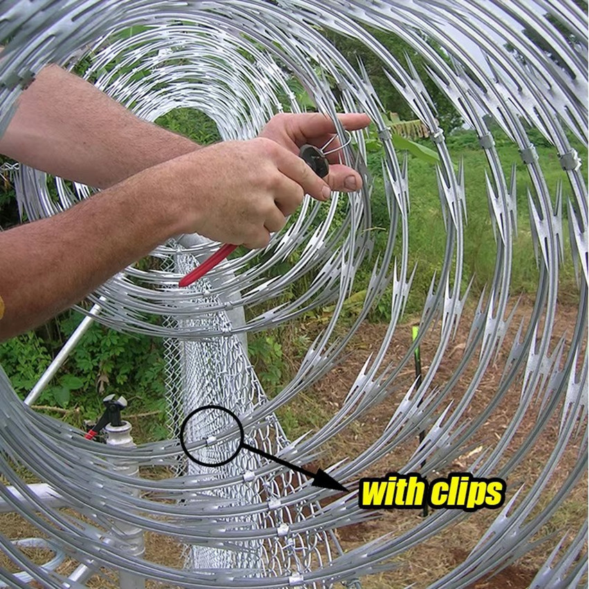Durable and Reliable cbt-65/60 Razor Barb Wire for Security Fencing