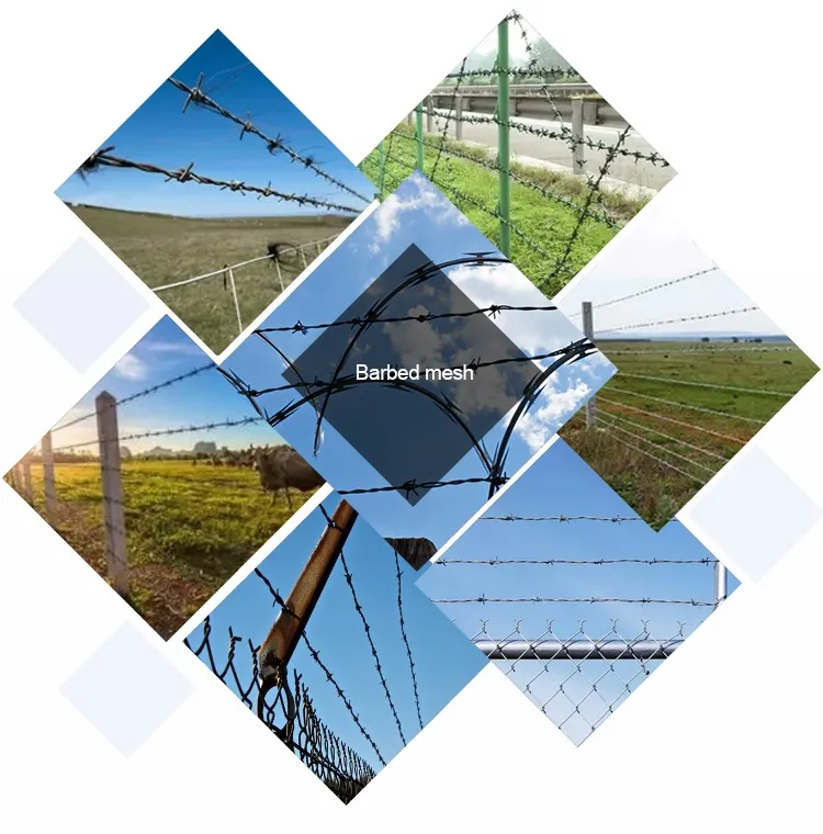 Barbed Wire Spiral Fencing