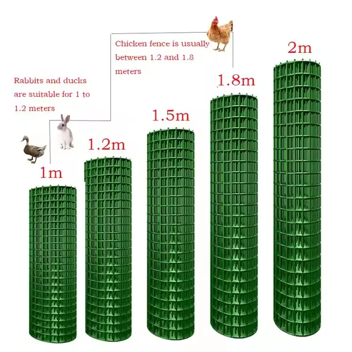 Galvanized Welded Wire Mesh for Sale