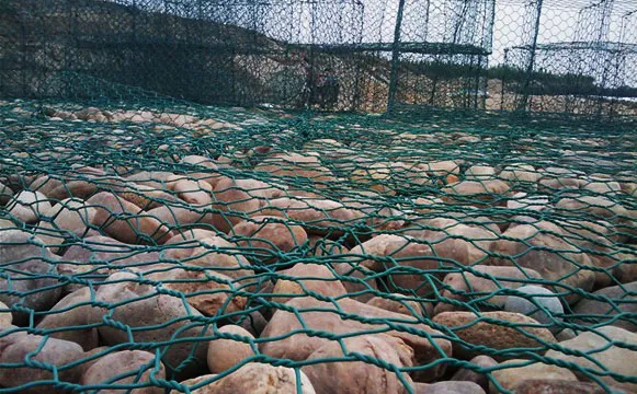 &lt;trp-post-container data-trp-post-id=&#039;20142&#039;&gt;Durable and Versatile Gabion Box&lt;/trp-post-container&gt;