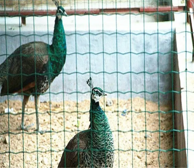 &lt;trp-post-container data-trp-post-id=&#039;20145&#039;&gt;Reliable Steel Wire Mesh Fencing Solutions&lt;/trp-post-container&gt;