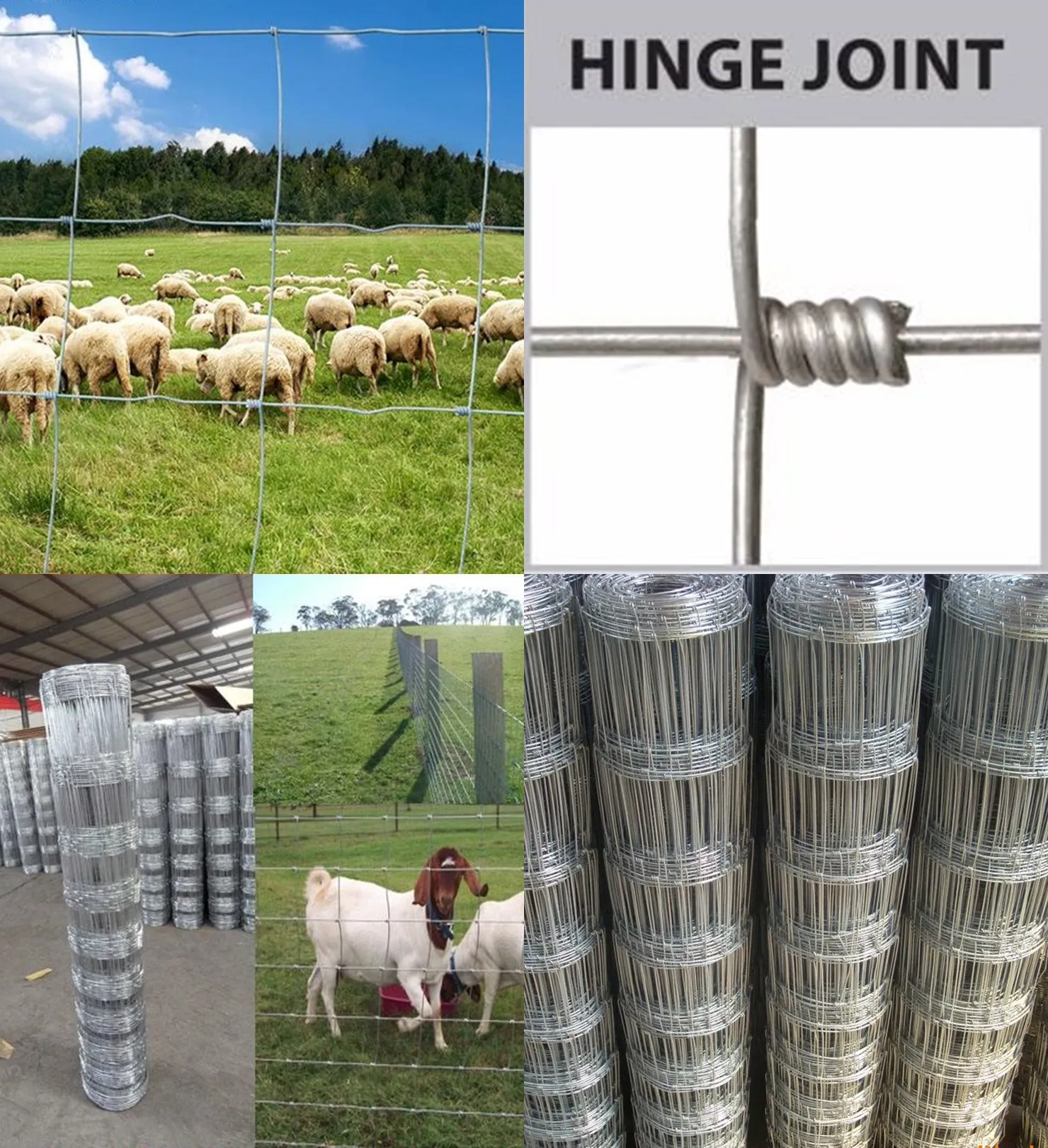 &lt;trp-post-container data-trp-post-id=&#039;20141&#039;&gt;Choosing the Right Wire Mesh Products&lt;/trp-post-container&gt;