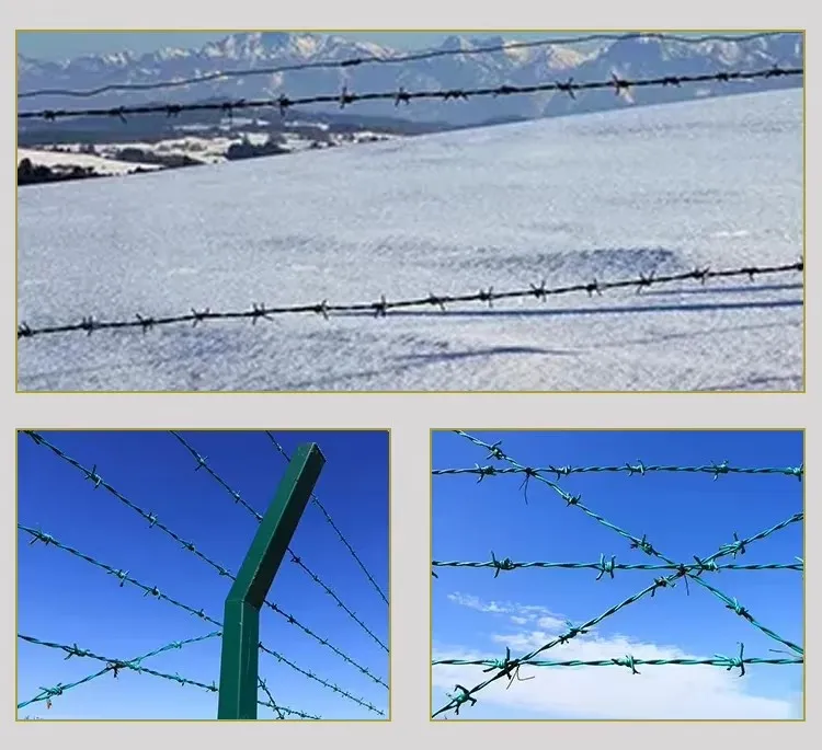 High-Quality PVC Coated Barbed Wire