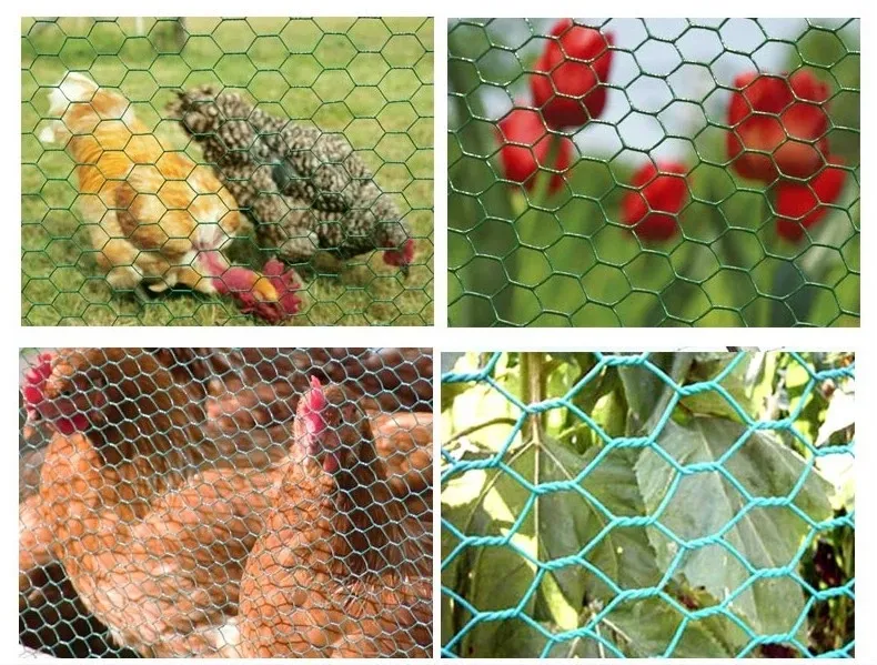 &lt;trp-post-container data-trp-post-id=&#039;20141&#039;&gt;Choosing the Right Wire Mesh Products&lt;/trp-post-container&gt;
