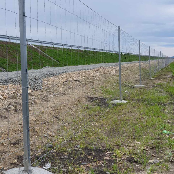 famous concrete welded wire mesh