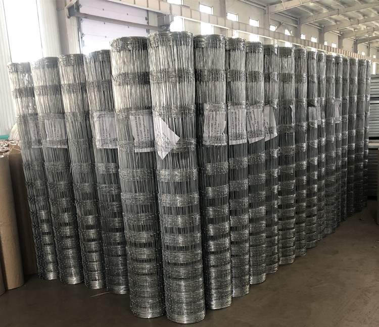famous pvc coated hexagonal wire mesh