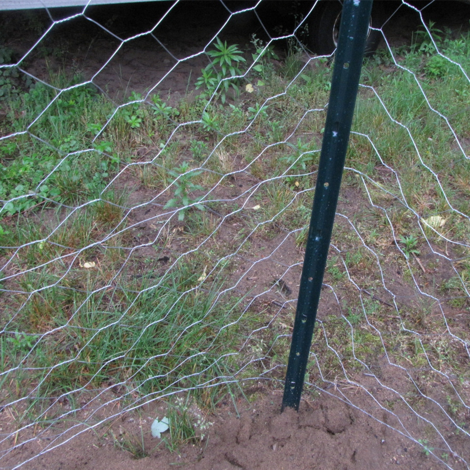 china gabion wire