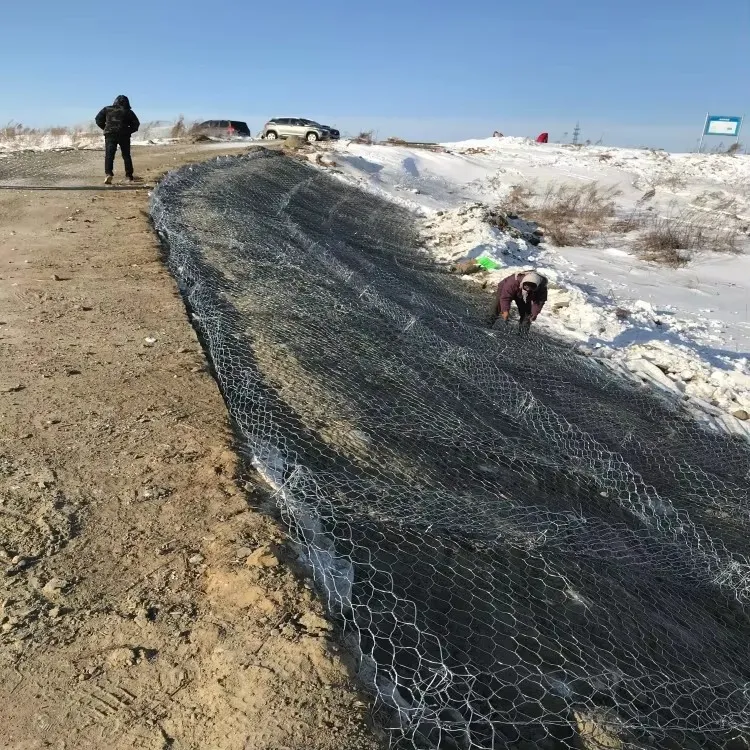 &lt;trp-post-container data-trp-post-id=&#039;20177&#039;&gt;Hexagonal Gabion Mesh Is the Best Solution&lt;/trp-post-container&gt;