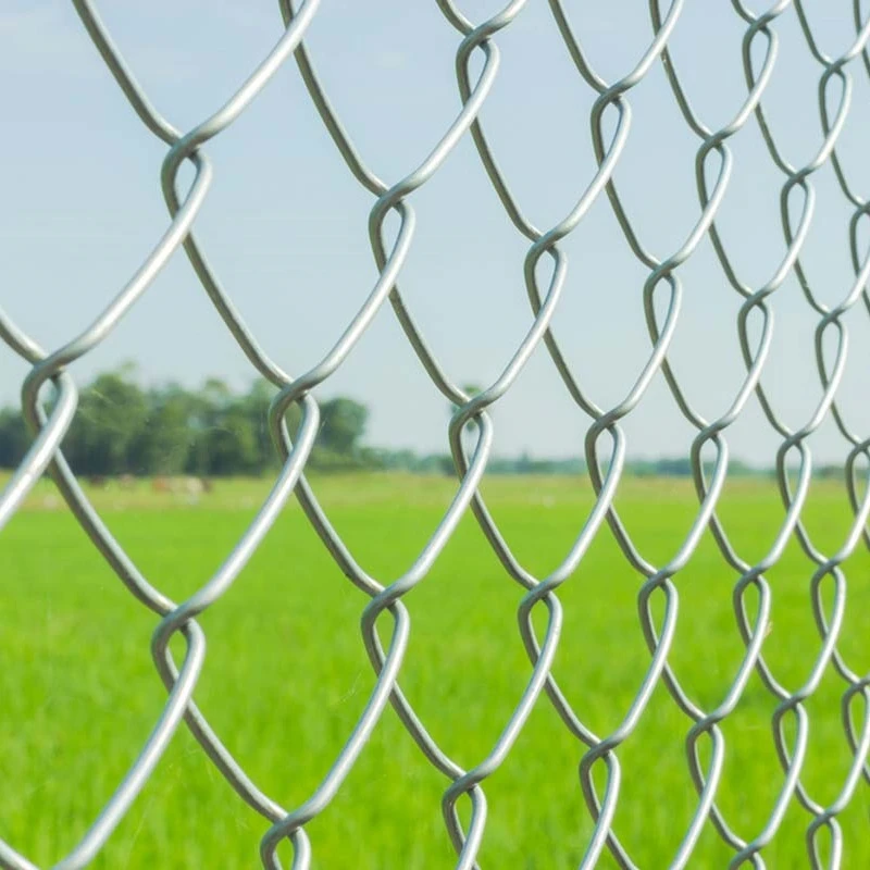 wholesale cattle fence