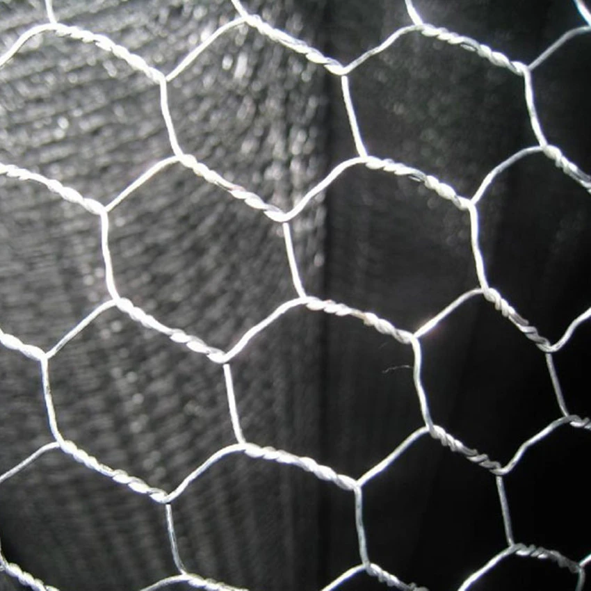 china galvanized iron mosquito window screen