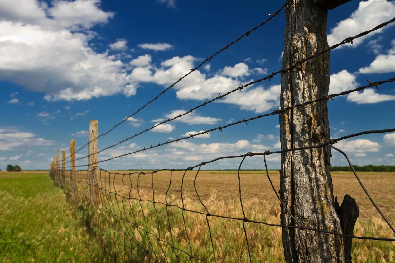 cheap steel wire mesh
