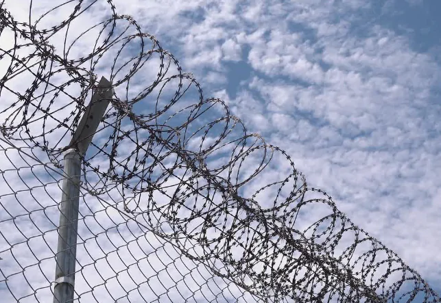 high quality 750 diameter razor barbed wire product