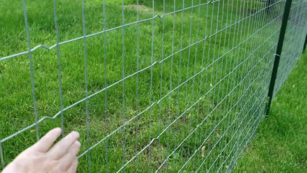 3/8 inch welded wire mesh exporters
