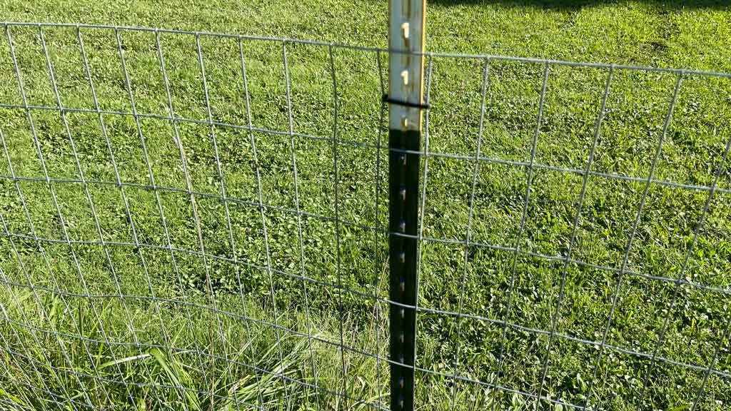 painted expanded metal mesh