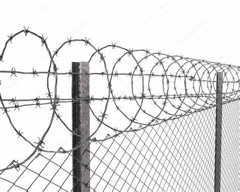 chain link temporary fence panels