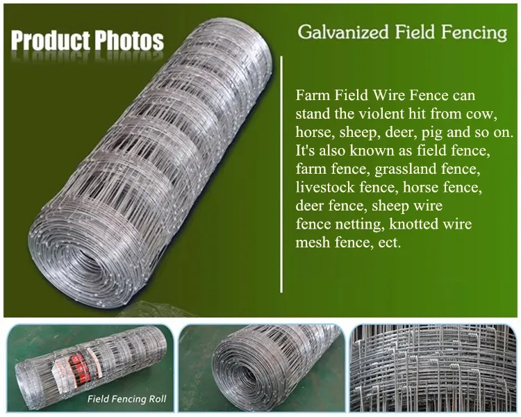 &lt;trp-post-container data-trp-post-id=&#039;20178&#039;&gt;Wholesale Field Fencing&lt;/trp-post-container&gt;