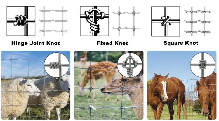 &lt;trp-post-container data-trp-post-id=&#039;20178&#039;&gt;Wholesale Field Fencing&lt;/trp-post-container&gt;