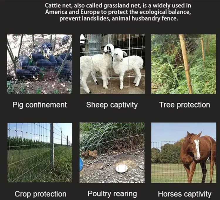 &lt;trp-post-container data-trp-post-id=&#039;20178&#039;&gt;Wholesale Field Fencing&lt;/trp-post-container&gt;