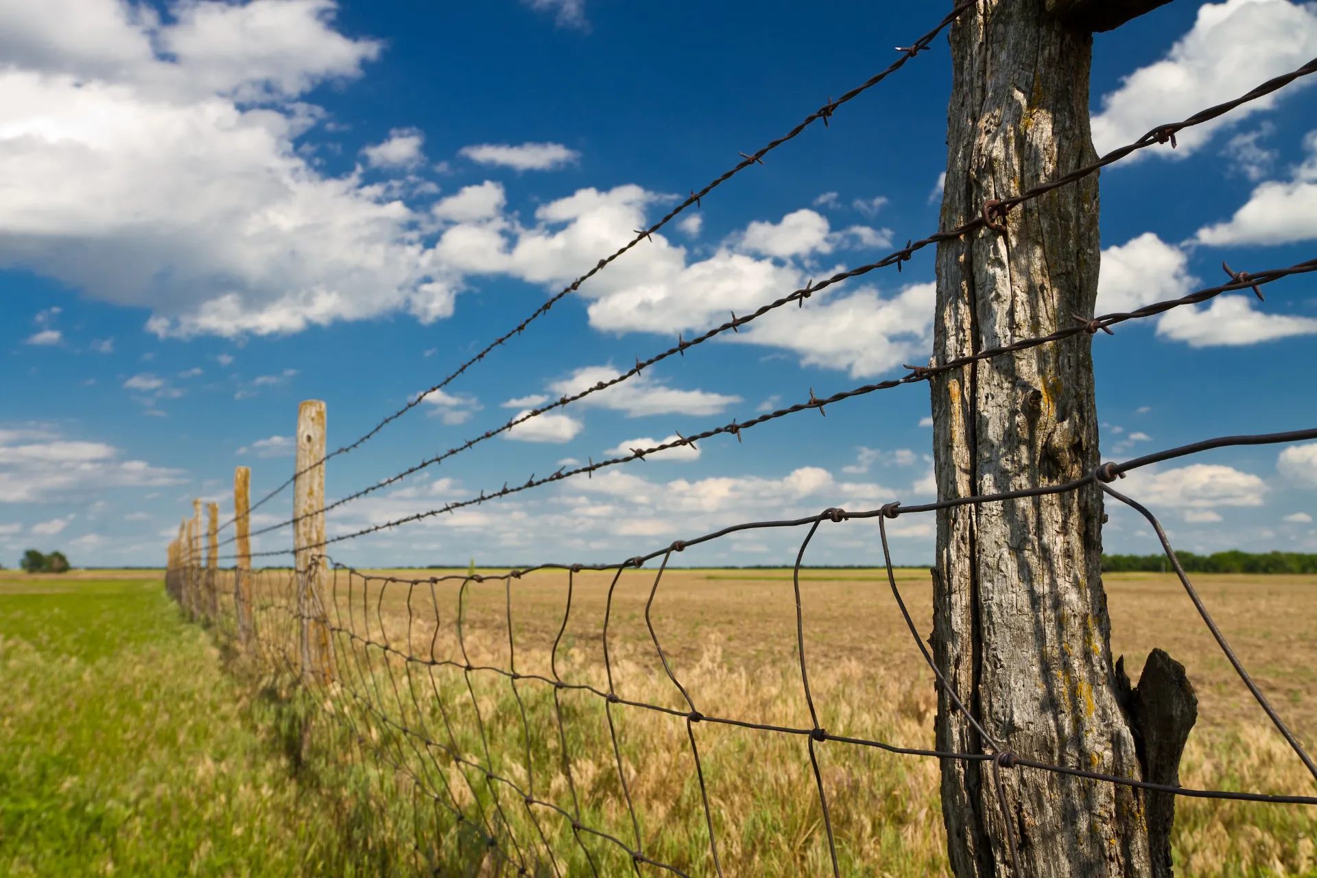 &lt;trp-post-container data-trp-post-id=&#039;20144&#039;&gt;Reliable Barbed Wire Solutions&lt;/trp-post-container&gt;