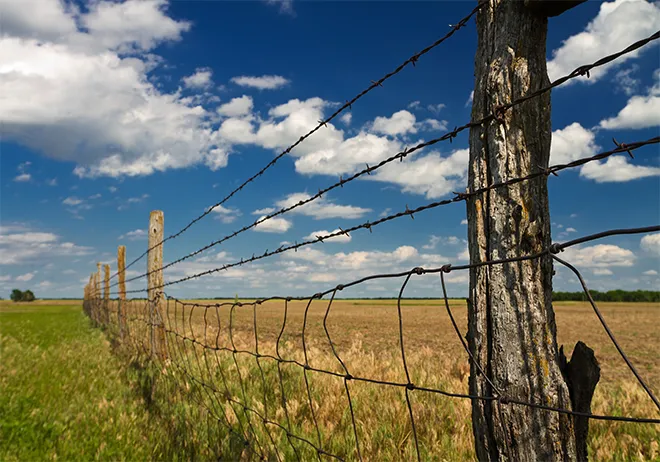 welded wire mesh fence products