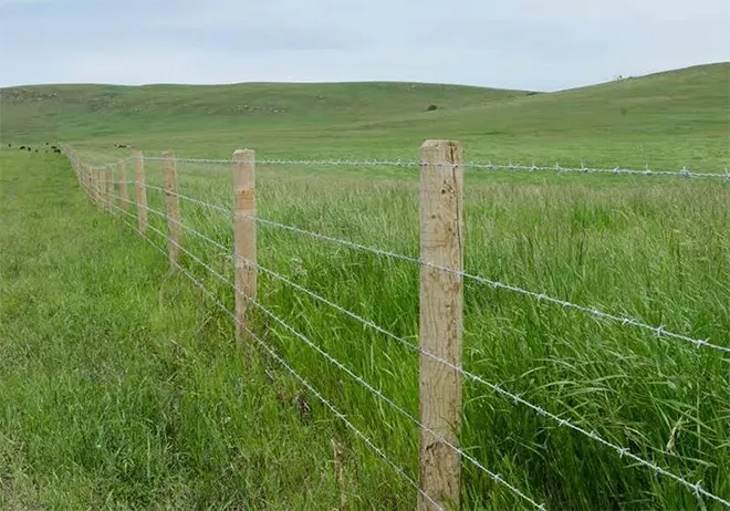 high quality cattle fence