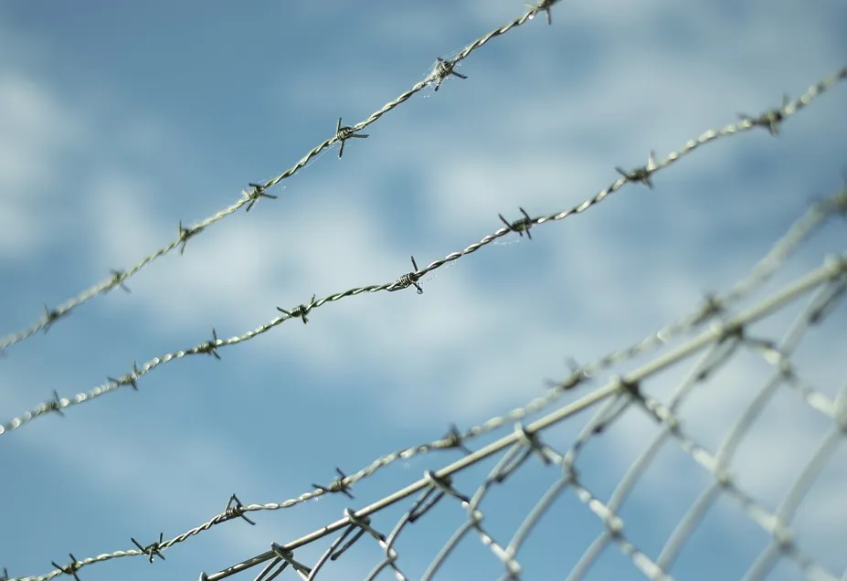 green pvc coated wire fence