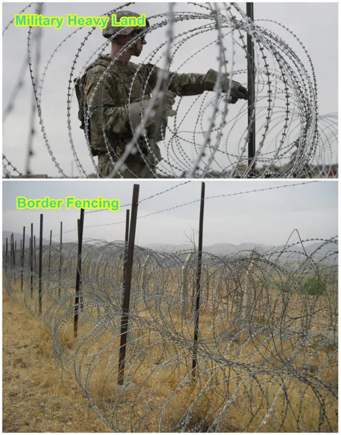 china africa chicken netting hexagonal wire mesh