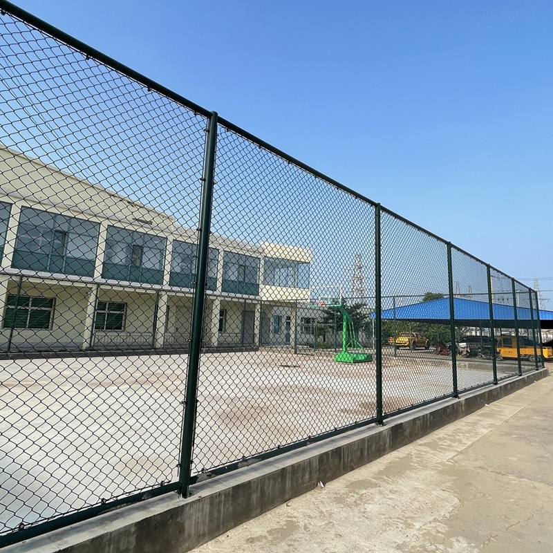 best hexagonal wire netting
