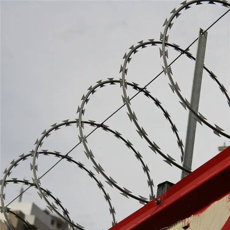 hexagonal wire mesh price factory