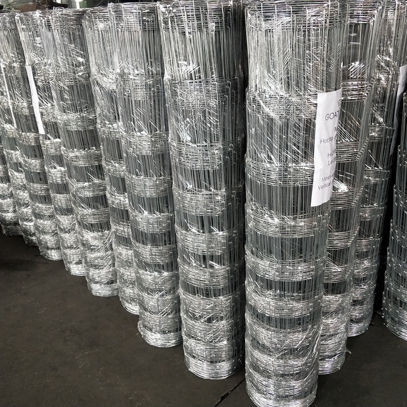 hexagonal mesh wire