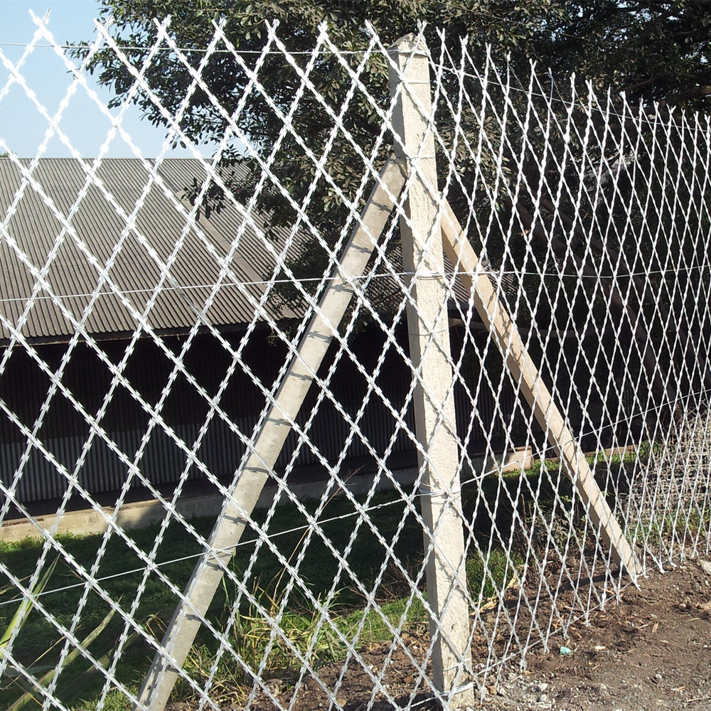 welded wire mesh product