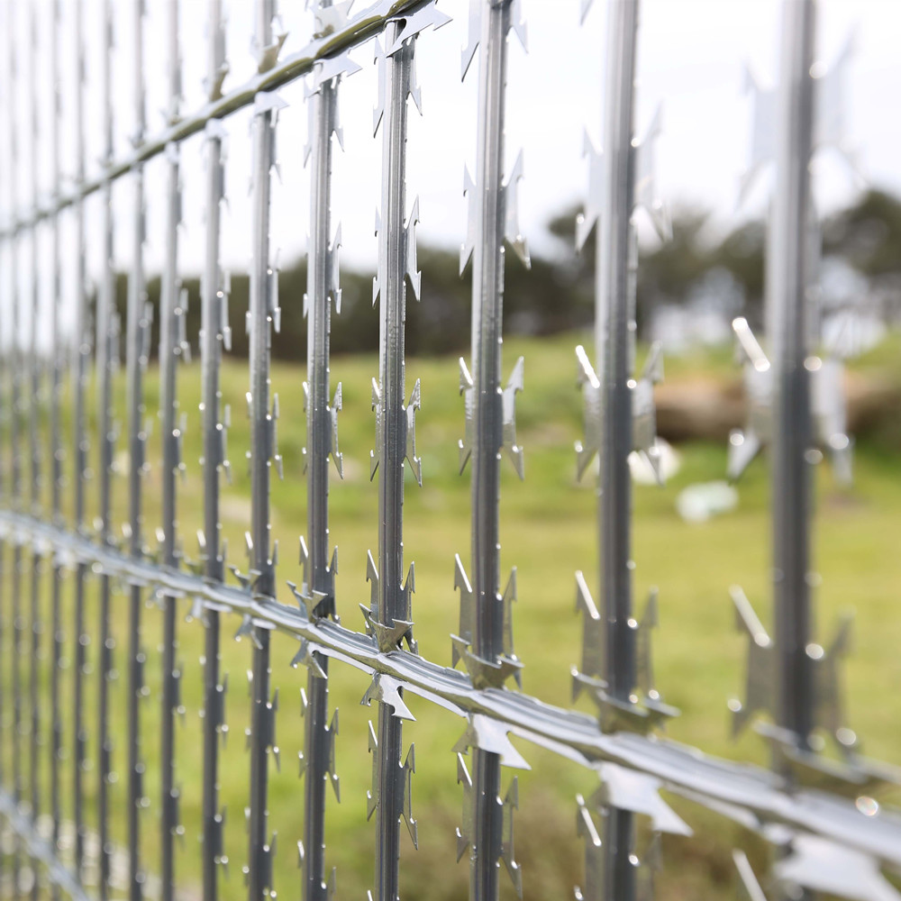 hexagonal netting service