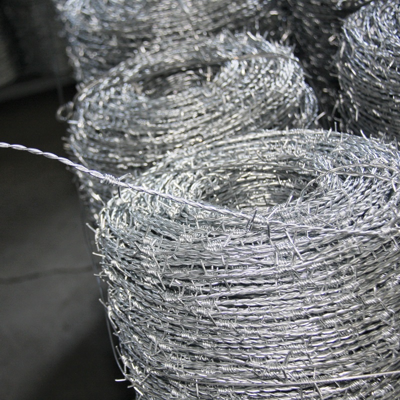 high quality galvanized mesh screen net