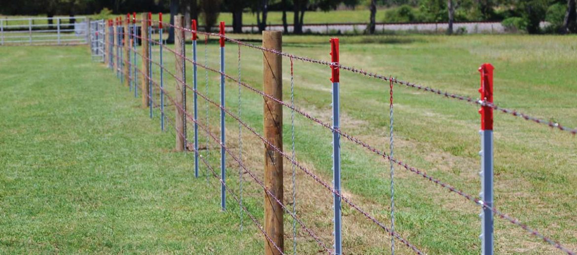 best electro galvanized hexagonal wire mesh