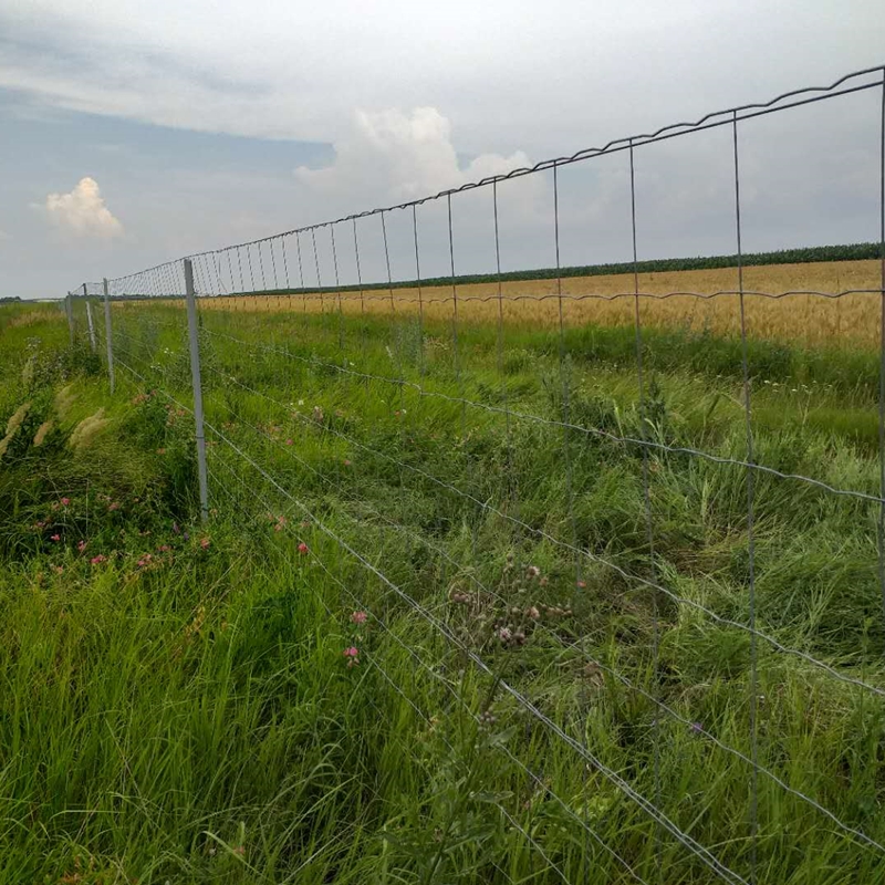barbed wire fencing factory