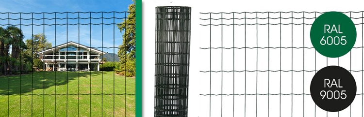 china africa chicken netting hexagonal wire mesh