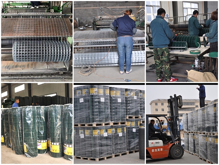 welded mesh factory