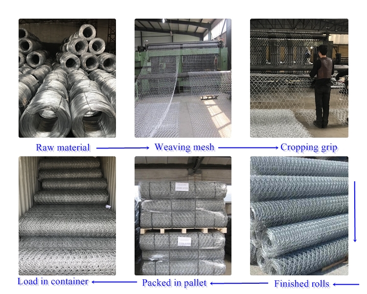 welded wire mesh product