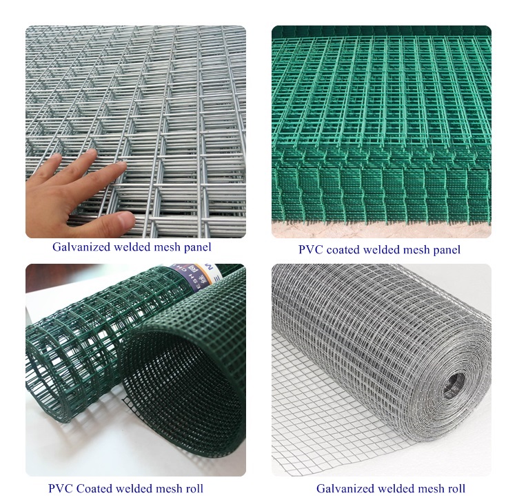 hexagonal wire mesh price exporter
