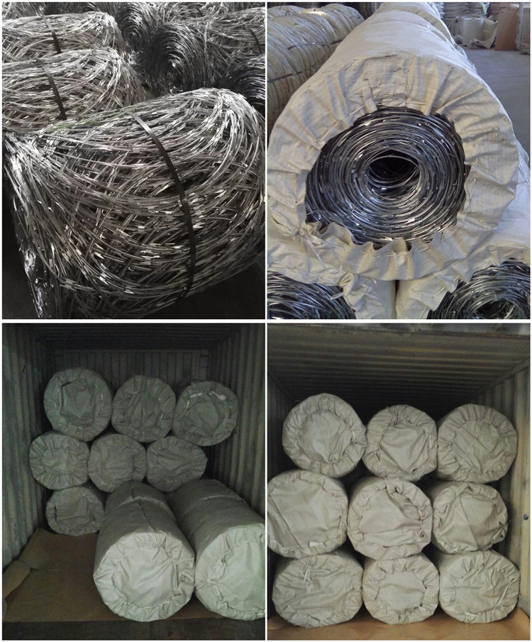 wholesale 450mm razor barbed wire manufacturer