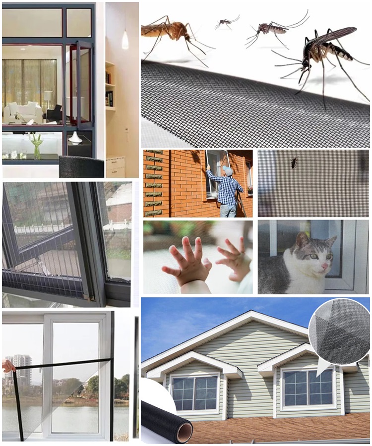 fiberglass insect screen service