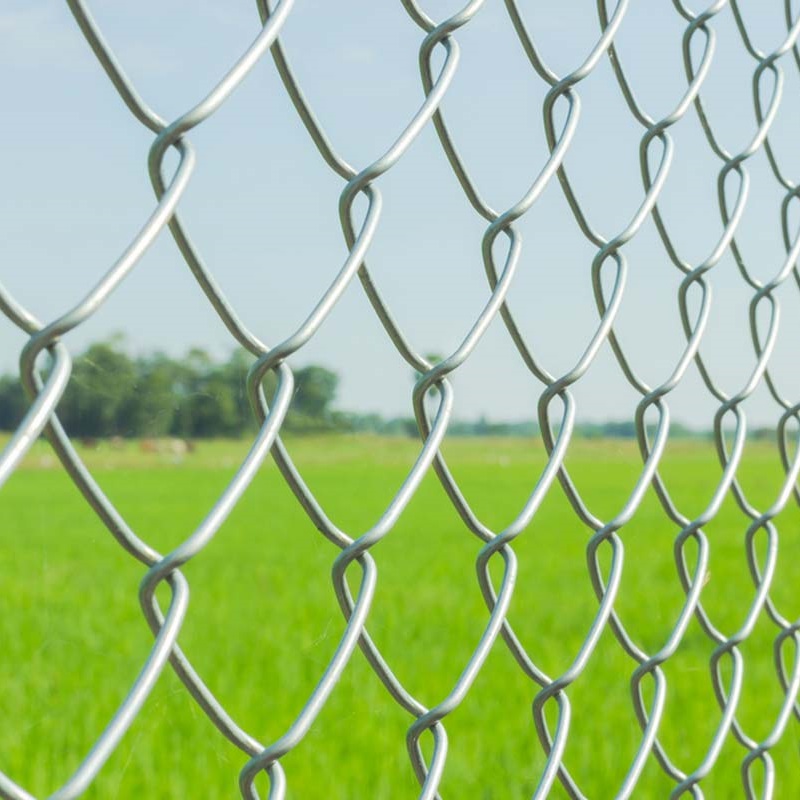 temporary removable fence