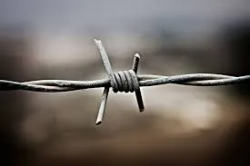 best fixed knot fence net manufacturer